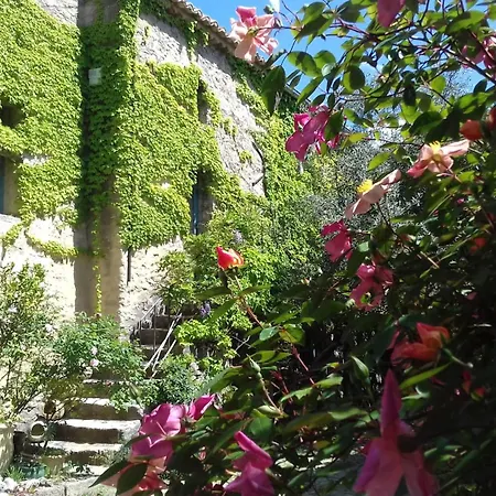 Du Frühstückspension Uzès