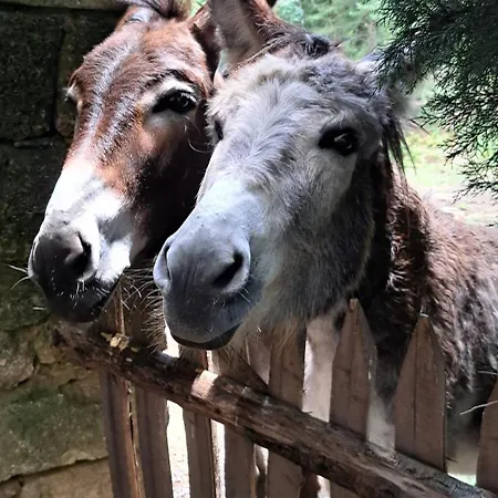 فندق مبيت وإفطار Du Uzès