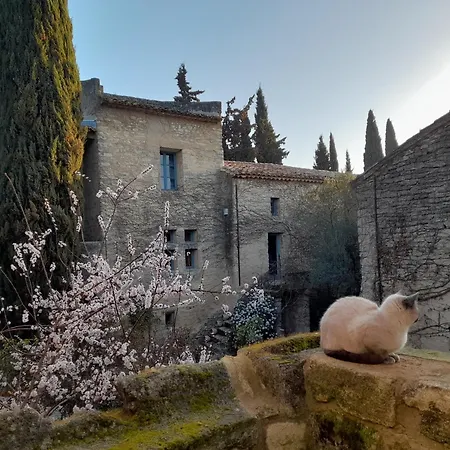 Du Uzes