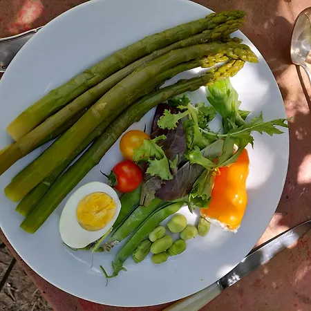 Du 4* Uzès