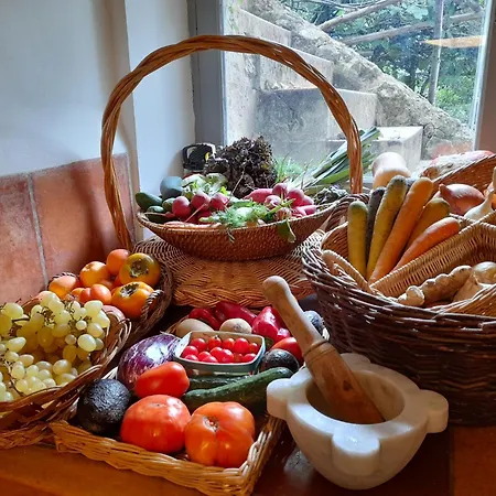 Du Frühstückspension Uzès