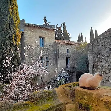 Dulac Bed & Breakfast Uzès