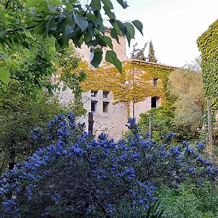 Dulac Bed & Breakfast Uzès